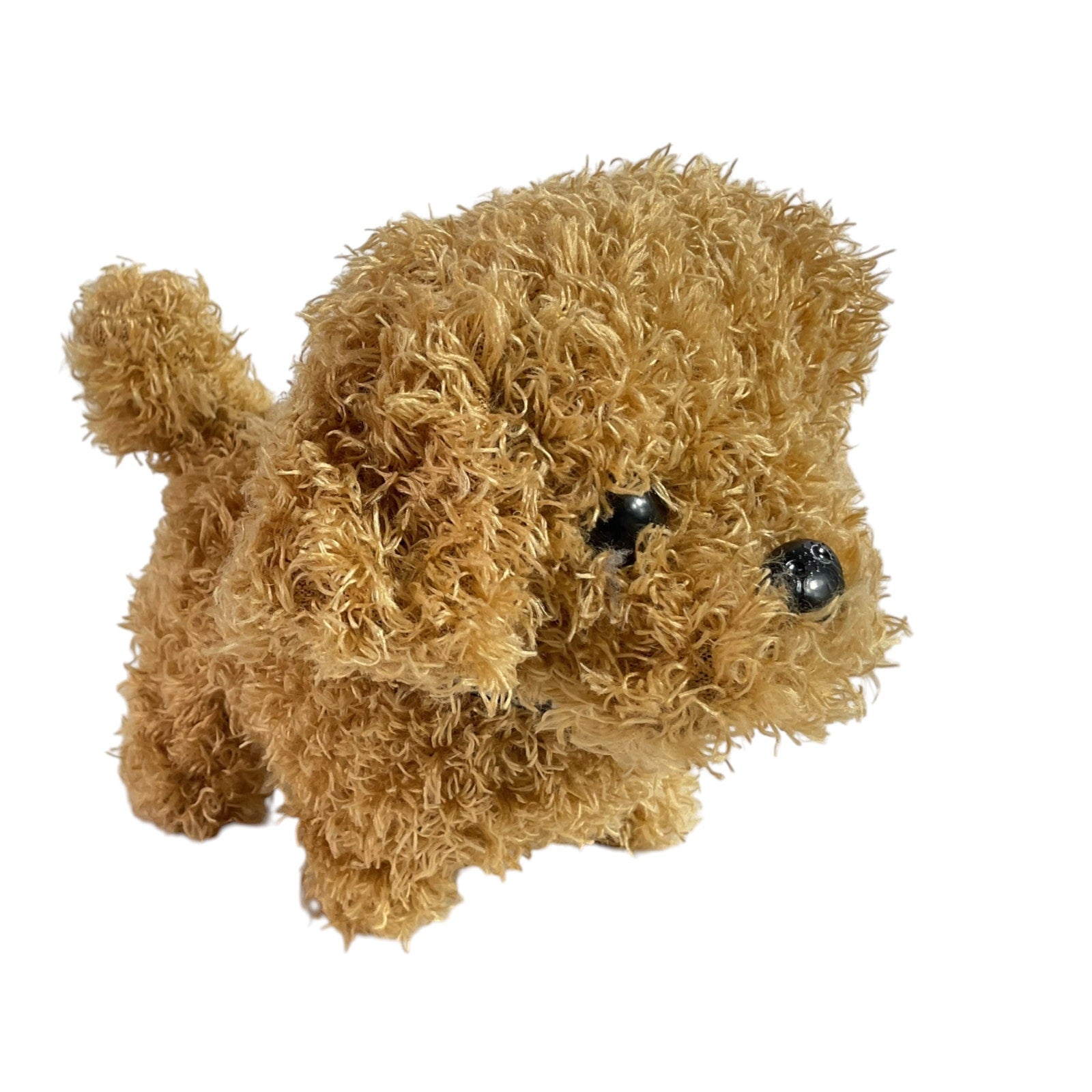 Perrito