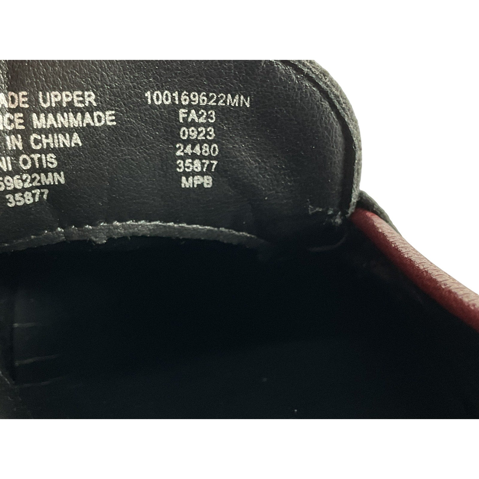 Zapato 10M (ALFANI)