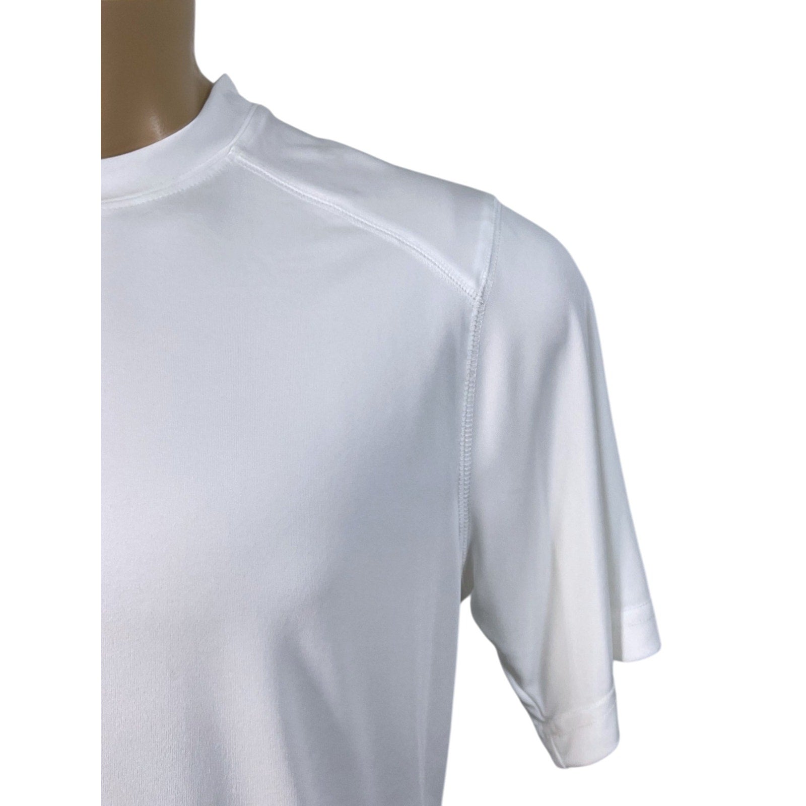 Camisa L (Charles River)