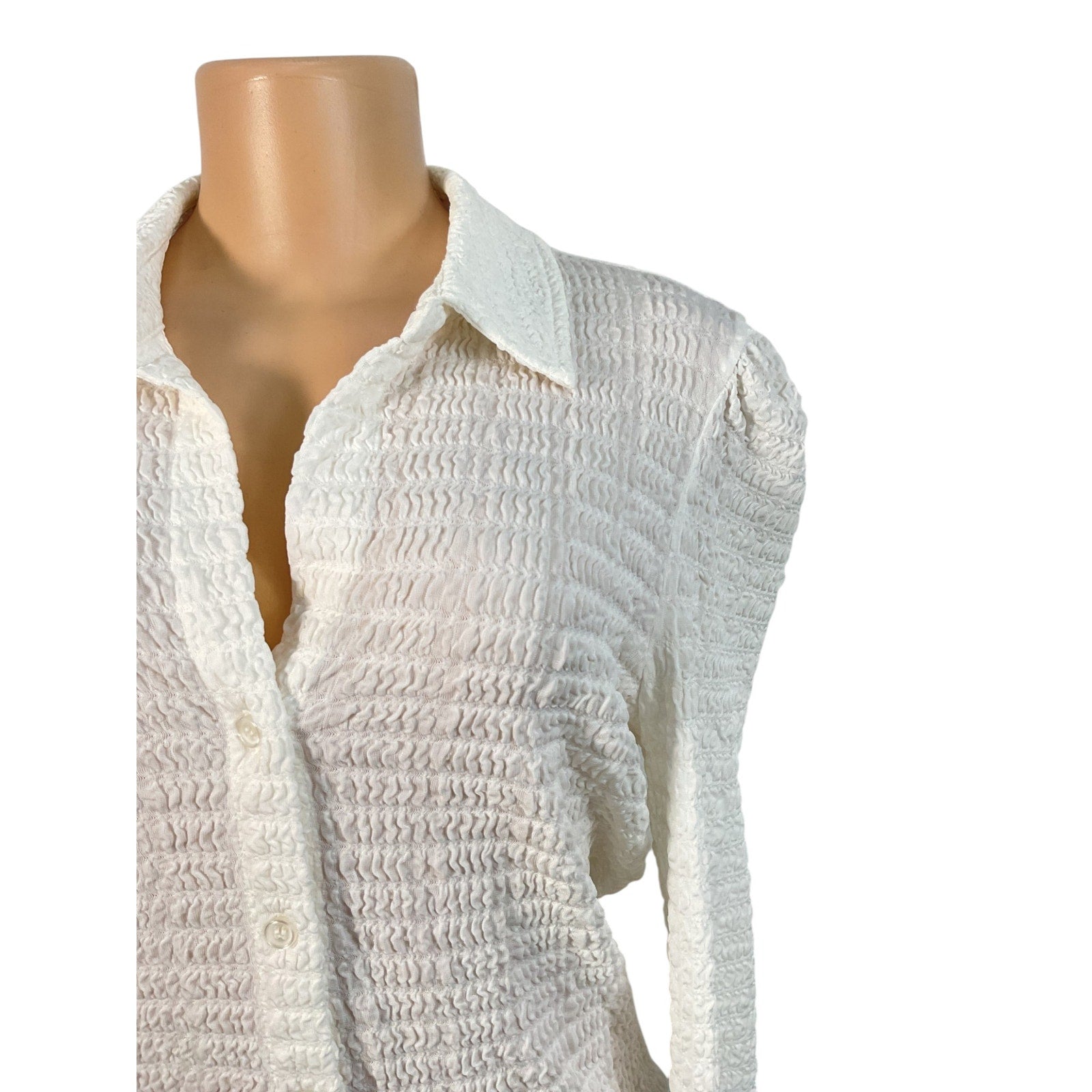Blusa M (Philosophy)