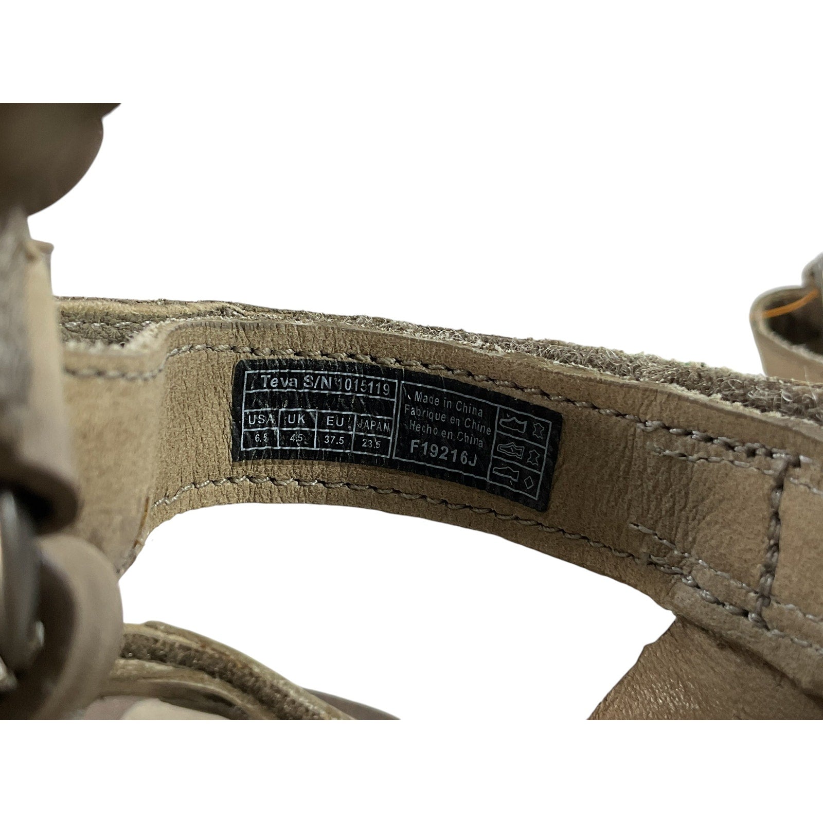 Plataforma 6.5 (Teva)