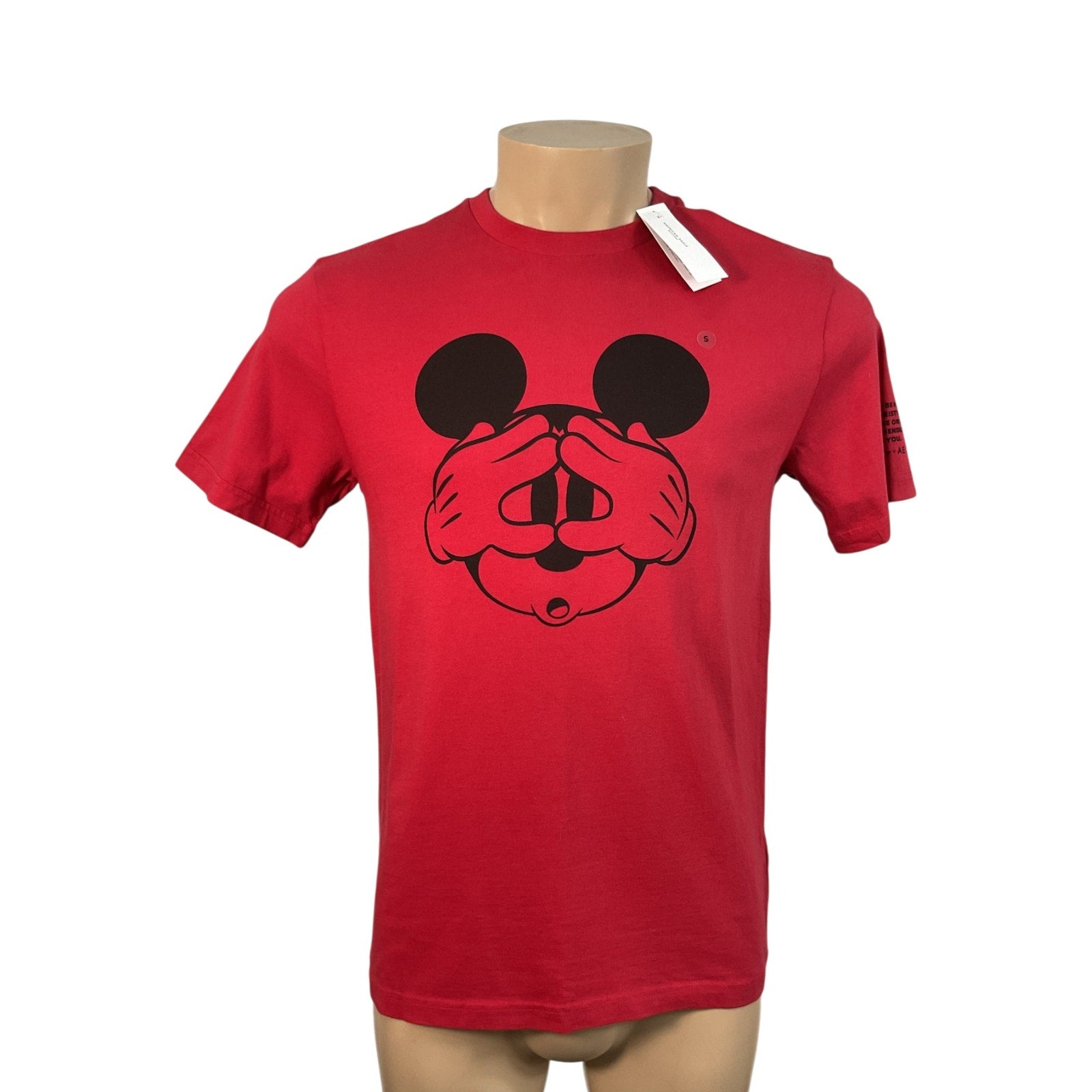 Camisa S (Disney)
