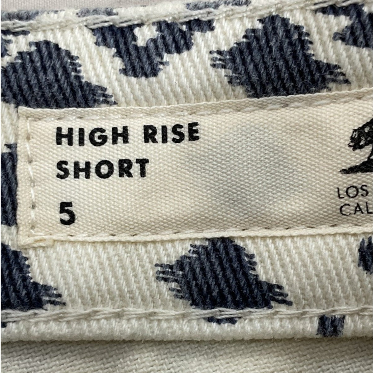 Short 5 (Pacsun)