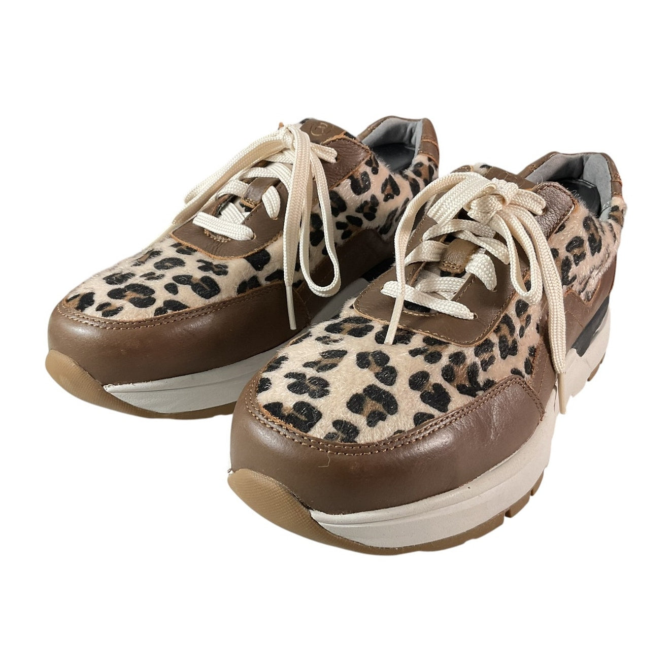 Tenis 7W (ROCKPORT)